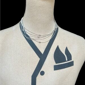 Shelia Rose Nadine West 20 Inch Silver Fashion Necklace NWT